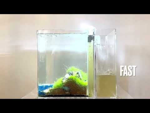5 Gallon Self-Cleaning Aquarium Shown with Waterfall Basin (Cleaning Method 1) By NoClean Aquariums