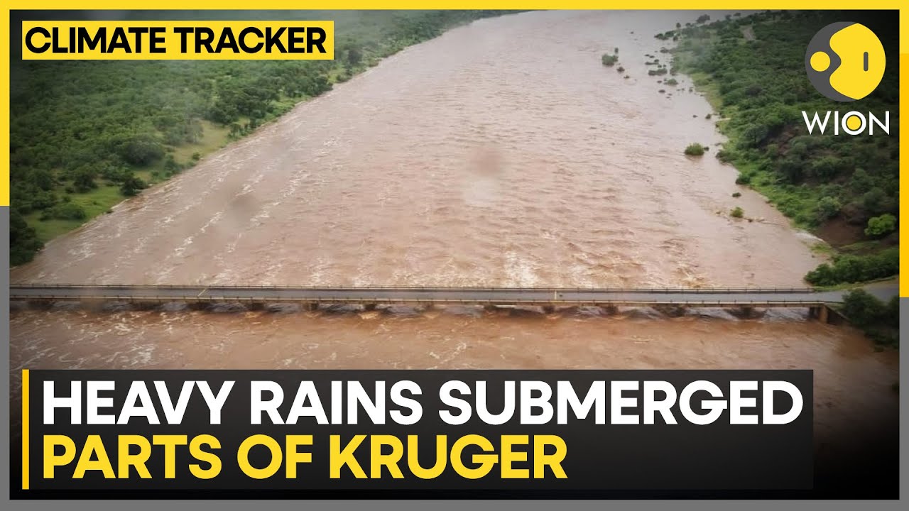 Kruger Floods: River Burst Banks in South Africa's Kruger; Wildlife Park Hit by Fast-Rising Waters
