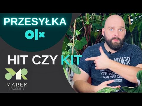 Przesyłka OLX hit czy kit? Czy warto tak wysyłać? Oraz inny problem OLX, który wielu przeszkadza