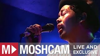 The Temper Trap - Fools | Live in Sydney | Moshcam