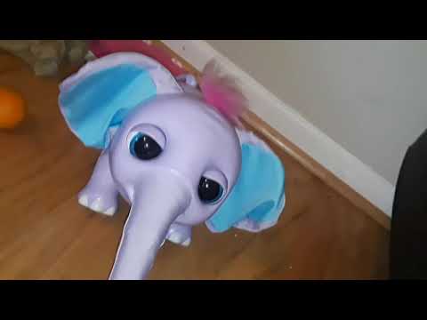 Keeping up with the bears! Ep.1