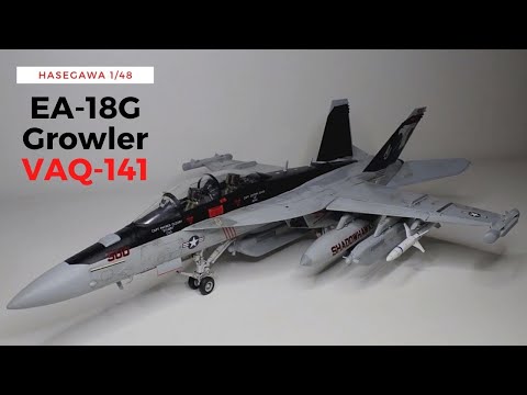 Hasegawa 1/48th VAQ-141 "Shadowhawks" EA-18G Growler speed build.