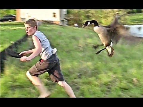 Man And Beast Part 36