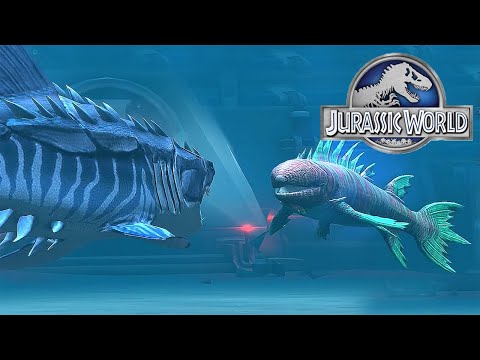 MEGALODON VS HYNERIA - AQUATIC TOURNAMENT || JURASSIC WORLD THE GAME