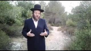 חיזוק יומי א אב תשעז מהרב צבי חלמיש שליט"א