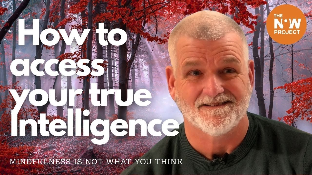 Videos The Now Project