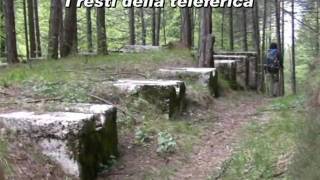 preview picture of video 'Anello del monte Jama da Raccolana - SentieriNatura 2009 - 18'