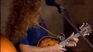 The Stevens Family - Back To Back Heartaches