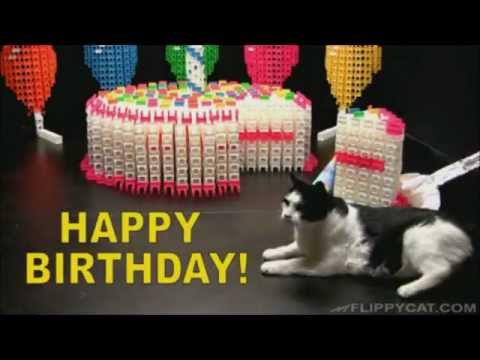 happy birthday cherry