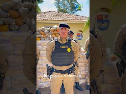 Mais de uma tonelada de maconha é apreendida em sítio na região de Loanda