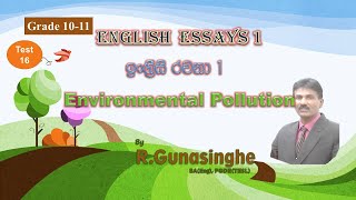 How to write an essay. (Environmental Pollution)
