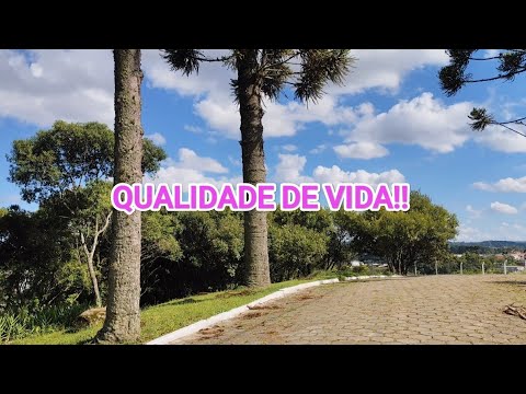 Castro no Paraná, cidade com qualidade de vida 