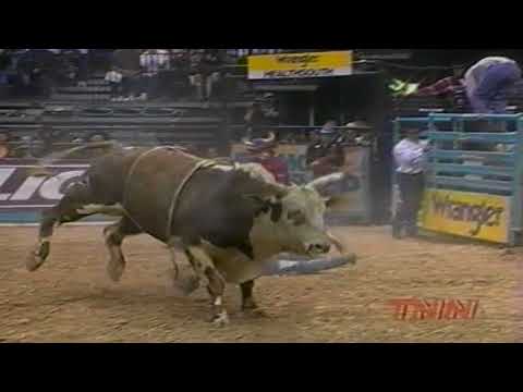 Hollywood bucks Ty Murray - 98 PBR Finals
