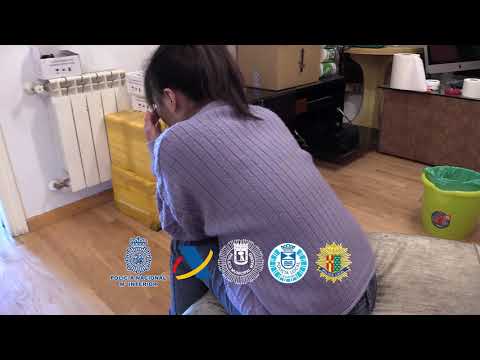 Leganes & Getafe (Desarticulada una red que vendía teléfonos móviles falsificados)