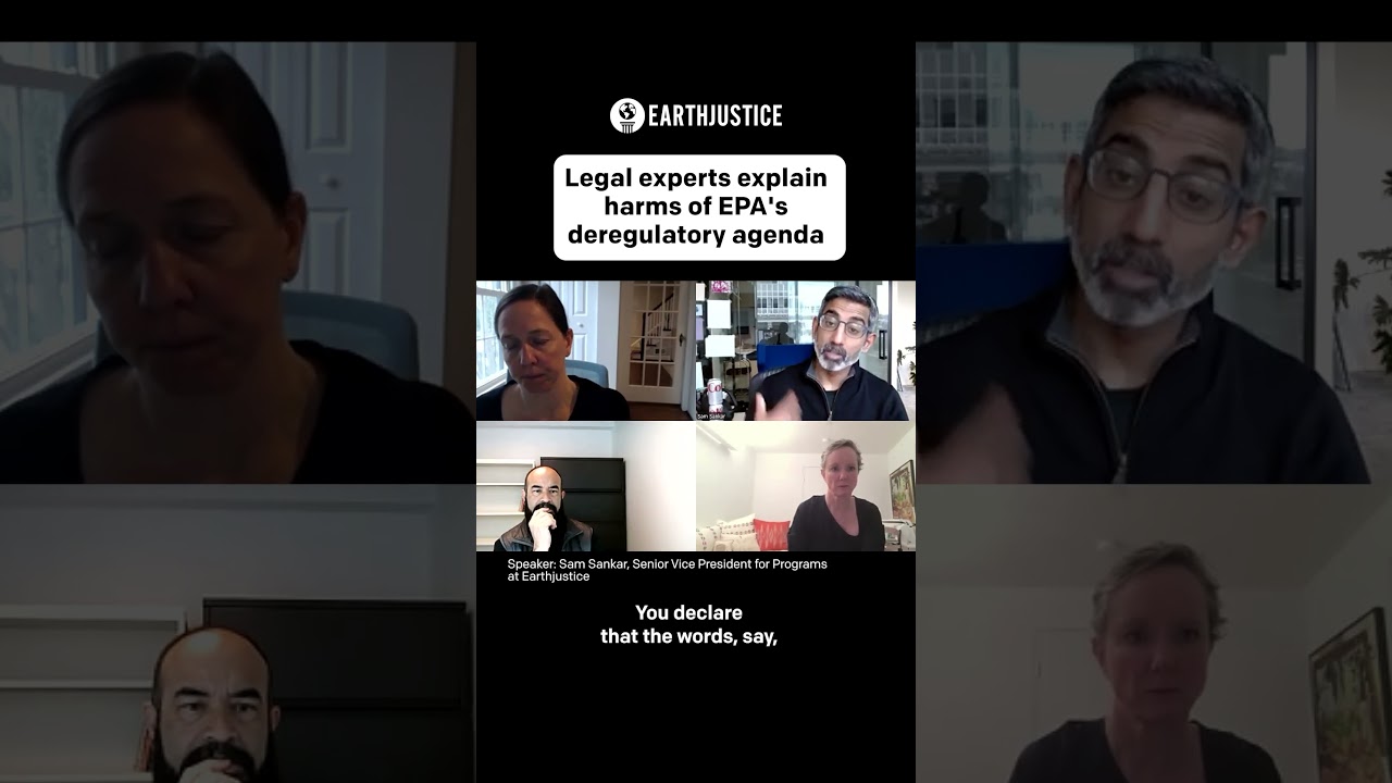 Legal Experts Explain the Harms of EPA's Deregulatory Agenda