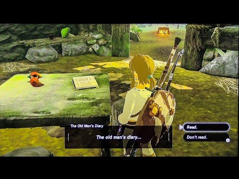Switch: Warm Doublet - Old Man's Secret Diary - Zelda Breath of the Wild