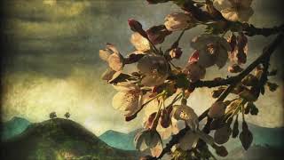 Diana Krall - A Blossom Fell