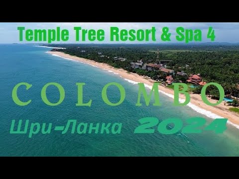 Шри-ланка в апреле 2024, Temple Tree