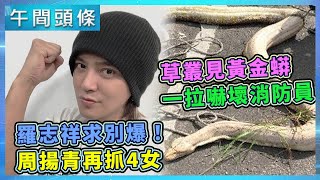 0429-午間頭條搶先看