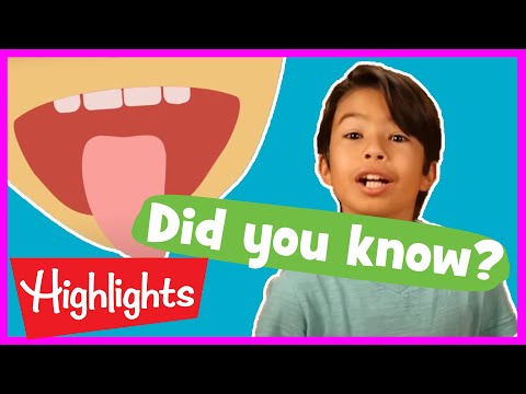 Educational Videos for Kids - 2020 - Fun Learning Videos for Kids - Did You Know?