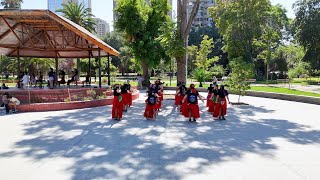 La Voz del Territorio: Colectiva Feminista Matriadanzante