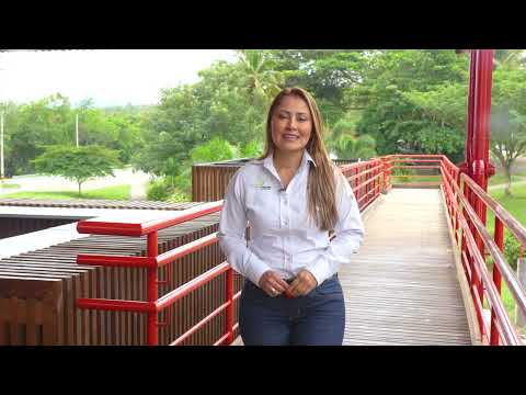  Camino al Suroeste - 28 de enero de 2026