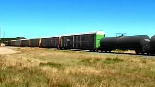 preview picture of video 'Union Pacific Freight Train in Corona  NM  USA  1999'