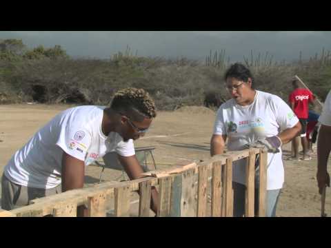 First year, Oasis Caribe Movement