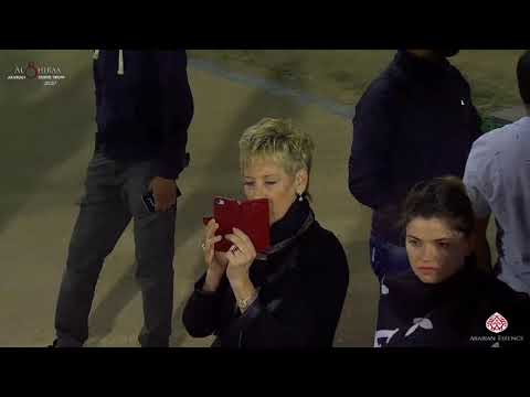 N 116 FOLA AL REMAS   Al Shiraa International Arabian Horse Show 2020