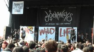 This Wild Life - Stay Up Late (Live)