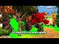 TENZI ZA ROHONI Usinipite Mwokozi