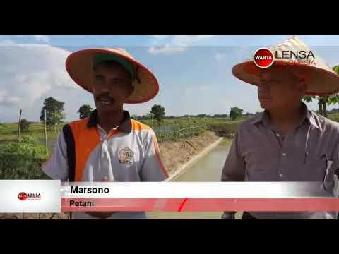 Petani Teladan Berhasil Mengharumkan Nama Kota Metro