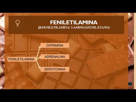 QUIMICA DO CHOCOLATE - Renan Paulino Guimarães