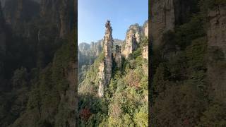 The greatest cable car ride #zhangjiajie #avatarmountains