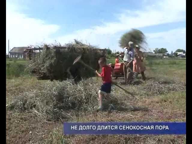 Не долго длится сенокосная пора.