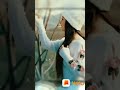 Tere Bin Sanu Soniya Koi Song Whatsapp Status