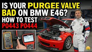 How to Test & Replace BMW E46 Purge Valve | Fix Codes P0444 & P0443