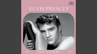 Everybody&#39;s Somebody&#39;s Fool