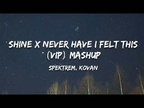 Shine x Never Have I Felt This (VIP) Mashup (Lyrics)