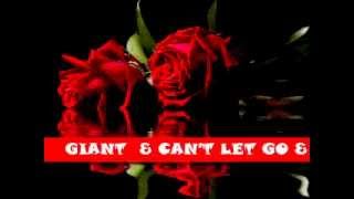 GIANT &amp; CAN&#39;T LET GO &amp;