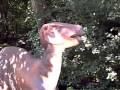 Dinosaurs Of The Detroit Zoo Royal Oak Michigan