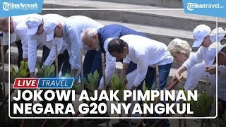 Momen Jokowi Ajak Pimpinan Negara G20 Nyangkul di Tahura Bali, Ada yang Bingung Tak Dapat Cangkul