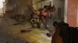 L4D2のカスタムマップでフレンドと遊んでる動画