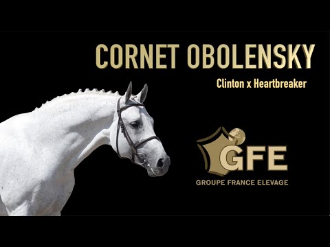 Cornet Obolensky - 2020