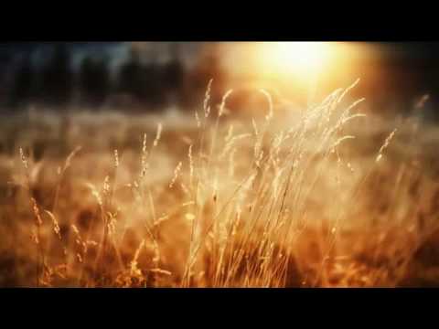 Sunshine Morning HD Wallpaper Images