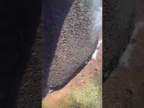 volcano 🌋 update on the 17 / 1 / 2021 guys  in SVG 🇻🇨.