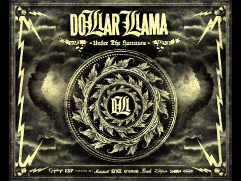 Dollar Llama - Over Rated