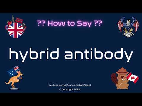 🧬💉 How to Pronounce hybrid antibody? (CORRECTLY) | Pronunciation Planet