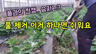풀 제거 이거 하나면 쉬워요 잡초 쉽게 제거할 수 있는 잡초제초기 편리한 잡초제거농기