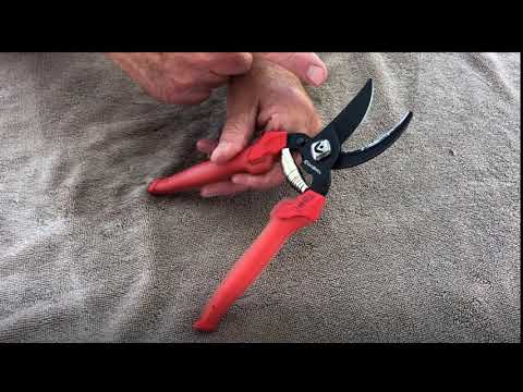 Sharpening Hand Pruners